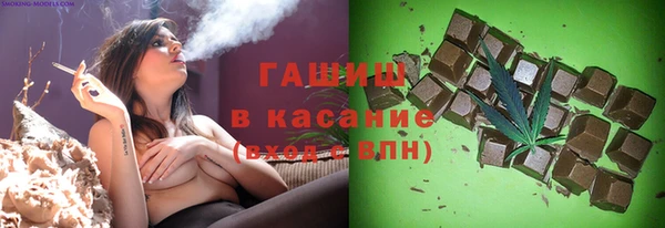 хмурый Арсеньев