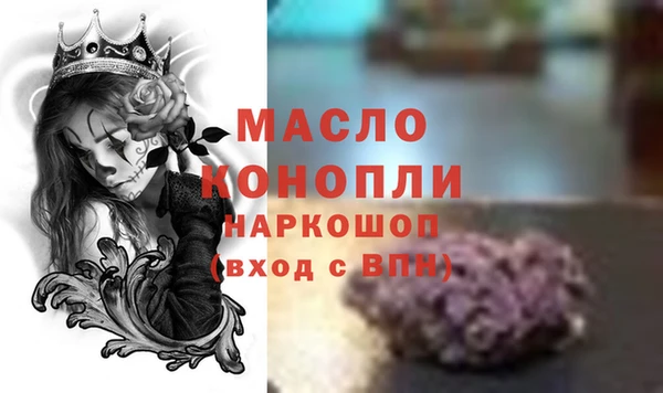 хмурый Арсеньев