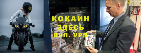 хмурый Арсеньев