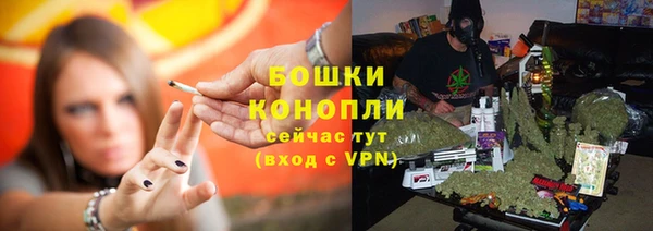 хмурый Арсеньев