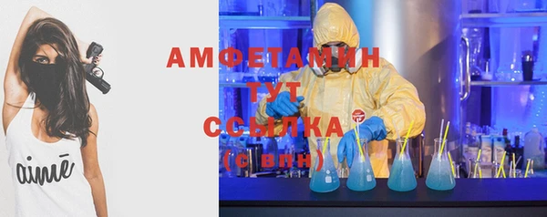 хмурый Арсеньев