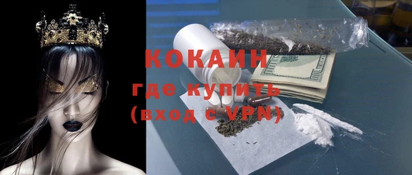 мяу мяу мука Аркадак