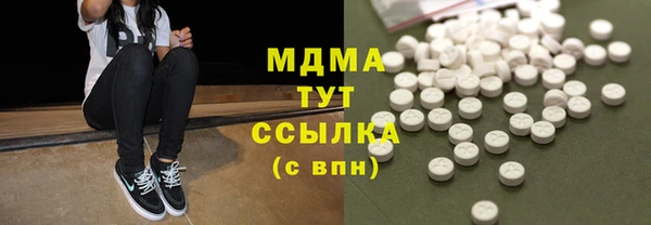 хмурый Арсеньев