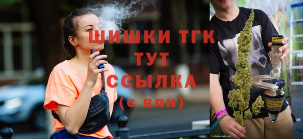 мяу мяу мука Аркадак